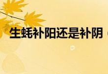 生蠔補(bǔ)陽還是補(bǔ)陰（生蠔補(bǔ)腎陰還是腎陽）