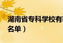 湖南省?？茖W(xué)校有哪些（2022最新高職院校名單）