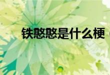 鐵憨憨是什么梗（鐵憨憨是什么意思）