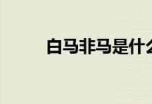 白馬非馬是什么意思（白馬非馬）