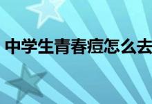 中學(xué)生青春痘怎么去除（如何讓去除青春痘）