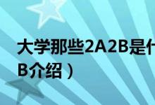 大學那些2A2B是什么意思?。P(guān)于大學2A2B介紹）