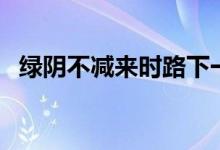 綠陰不減來時路下一句（綠陰不減來時路）
