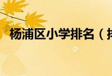 楊浦區(qū)小學排名（排名前八的楊浦區(qū)小學）