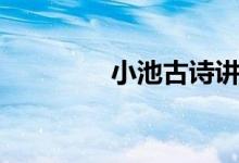 小池古詩(shī)講解（小池古詩(shī)）