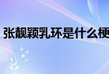 張靚穎乳環(huán)是什么梗（張靚穎打乳環(huán)啥意思）