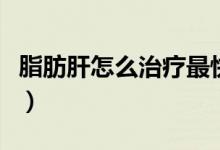 脂肪肝怎么治療最快的方法（脂肪肝怎么治療）