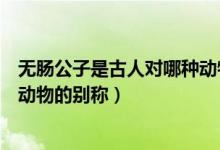 無腸公子是古人對哪種動物的別稱（無腸公子是古人對哪種動物的別稱）