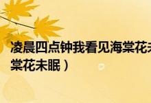 凌晨四點(diǎn)鐘我看見(jiàn)海棠花未眠下一句（凌晨四點(diǎn)鐘 我看見(jiàn)海棠花未眠）