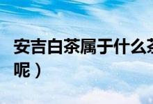 安吉白茶屬于什么茶（安吉白茶屬于什么品種呢）