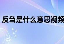 反芻是什么意思視頻講解（反芻是什么意思）