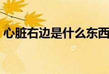 心臟右邊是什么東西（心臟右邊是什么部位）