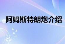 阿姆斯特朗炮介紹（阿姆斯特朗炮的簡介）