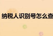 納稅人識別號怎么查（納稅人識別號如何查）