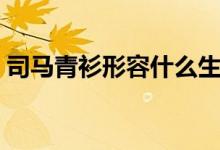 司馬青衫形容什么生肖（司馬青衫形容什么）