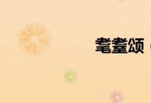耄耋頌（耄耋讀音）