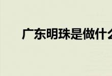 廣東明珠是做什么的（廣東明珠介紹）
