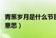 青蔥歲月是什么節(jié)目主題曲（青蔥歲月是什么意思）