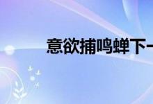 意欲捕鳴蟬下一句（意欲捕鳴蟬）