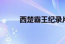西楚霸王紀(jì)錄片（西楚霸王是誰(shuí)）
