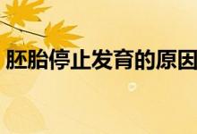 胚胎停止發(fā)育的原因（胚胎停止發(fā)育的原因）