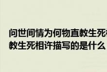 問世間情為何物直教生死相許描寫的是（問世間情為何物直教生死相許描寫的是什么）