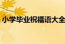 小學(xué)畢業(yè)祝福語(yǔ)大全簡(jiǎn)短（小學(xué)畢業(yè)祝福語(yǔ)）