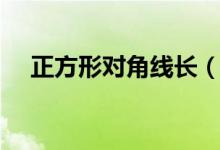 正方形對角線長（正方形對角線怎么算）