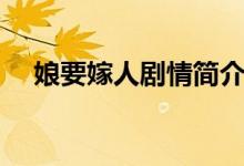 娘要嫁人劇情簡(jiǎn)介（娘要嫁人劇情內(nèi)容）