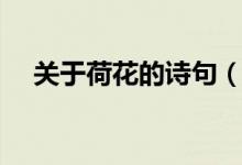 關(guān)于荷花的詩句（關(guān)于荷花的詩句推薦）