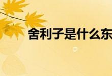 舍利子是什么東西（什么是舍利子）
