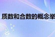 質數(shù)和合數(shù)的概念舉例（質數(shù)和合數(shù)的概念）
