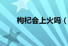 枸杞會上火嗎（吃枸杞會不會上火）