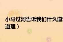 小馬過河告訴我們什么道理和啟示（小馬過河告訴我們什么道理）
