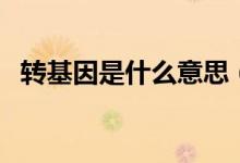 轉基因是什么意思（在生活中有哪些應用）