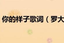 你的樣子歌詞（羅大佑演唱的你的樣子歌詞）