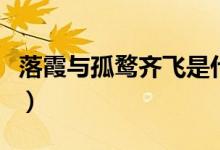 落霞與孤鶩齊飛是什么意思（落霞與孤鶩齊飛）