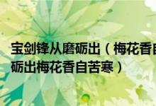 寶劍鋒從磨礪出（梅花香自苦寒來意思 如何分析寶劍鋒從磨礪出梅花香自苦寒）