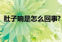 肚子響是怎么回事?（肚子會響是怎么回事）