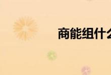 商能組什么成語（商能）