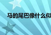 馬的尾巴像什么似的（馬的尾巴像什么）