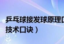 乒乓球接發(fā)球原理口訣(初學(xué)者的乒乓球基本技術(shù)口訣)