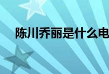 陳川喬麗是什么電視?。ǜ〕羷∏榻榻B）