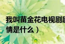 我叫苗金花電視劇劇情（我叫苗金花電視劇劇情是什么）
