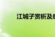 江城子賞析及感悟（江城子賞析）