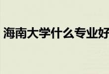 海南大學(xué)什么專業(yè)好（海南大學(xué)什么專業(yè)好）