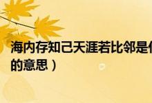 海內存知己天涯若比鄰是什么意思（海內存知己 天涯若比鄰的意思）