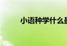小語種學(xué)什么最好（哪個有前途）