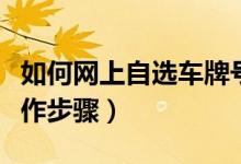 如何網(wǎng)上自選車牌號（全國通用）（有哪些操作步驟）