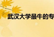 武漢大學(xué)最牛的專業(yè)（就業(yè)前景怎么樣）
